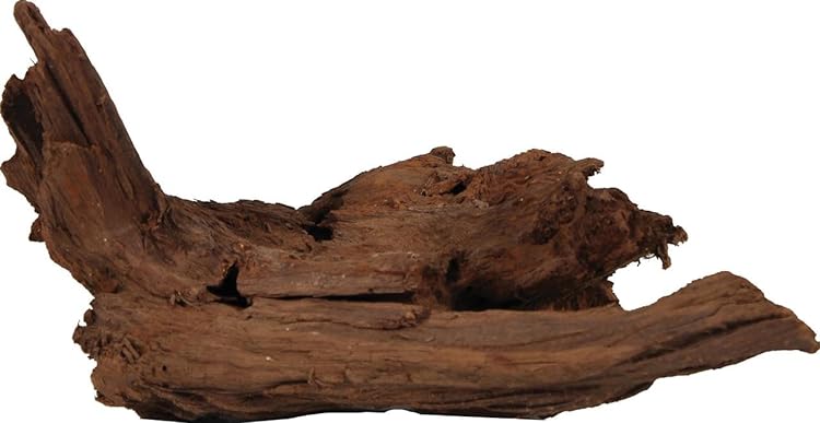Malaysian Driftwood