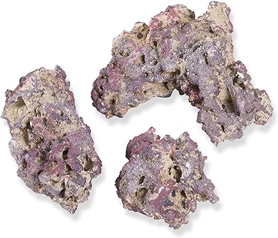 Caribsea life rock