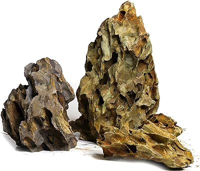 Aqualexs Aquarium Ohko Dragon Stone