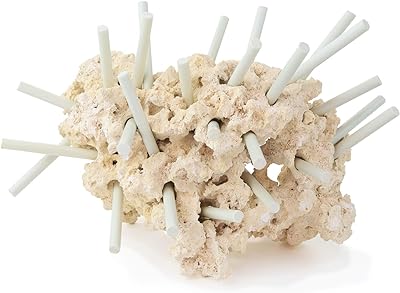 Dry reef rock